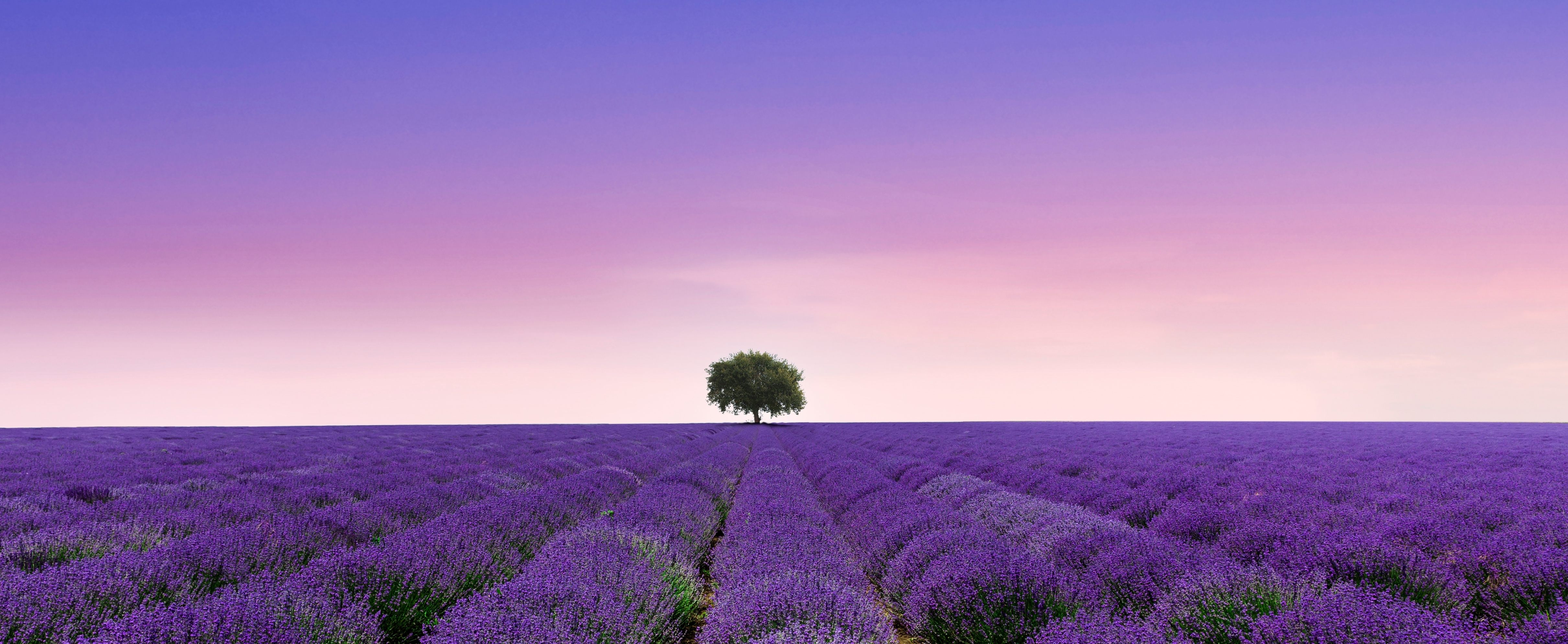Provence